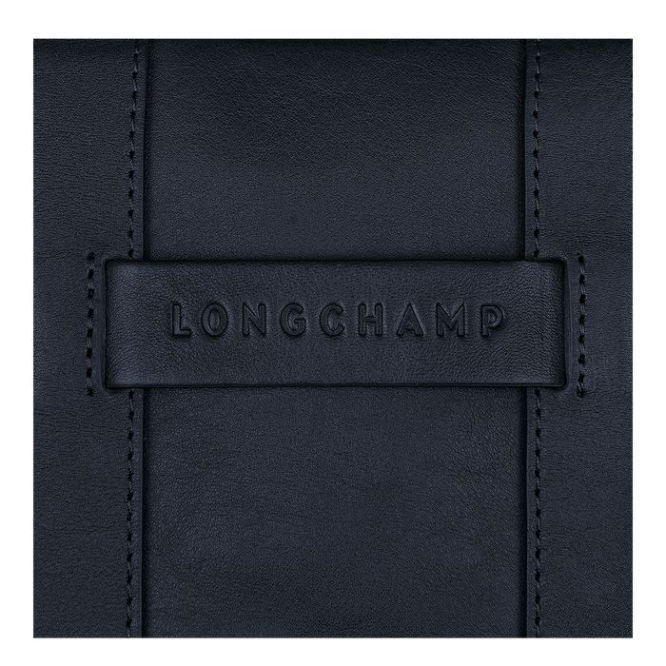 Blue Longchamp 3D S Men's Crossbody Bags | US-5146UDE