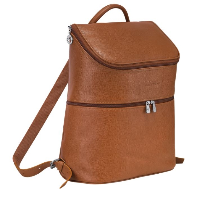 Brown Longchamp Le Foulonné Men's Backpacks | US-1845IRQ