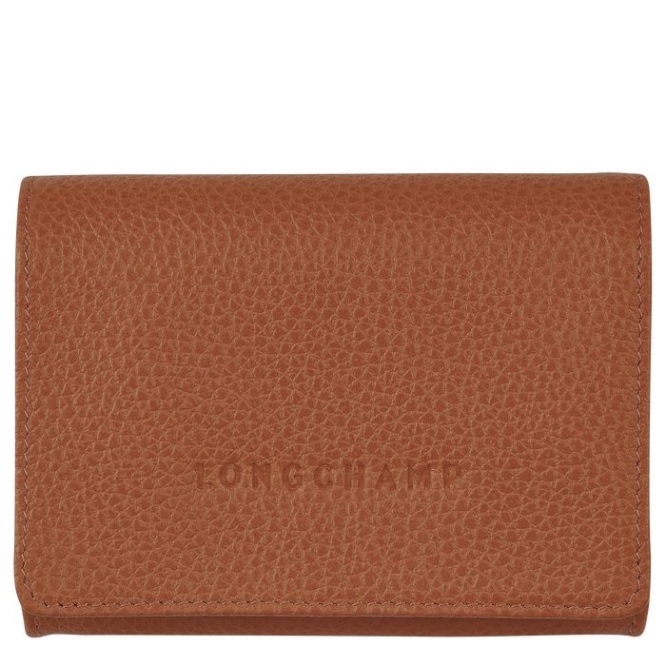 Brown Longchamp Le Foulonné Men\'s Cardholders & Coin Purses | US-5216OEG