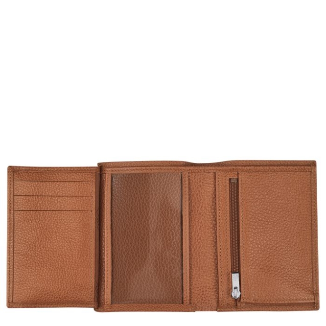 Brown Longchamp Le Foulonné Men's Wallets | US-7284QZX