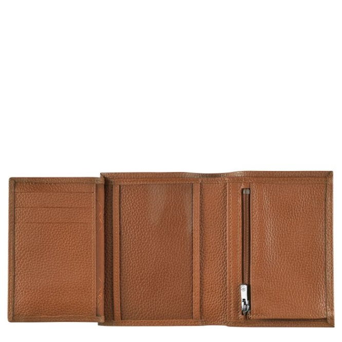 Brown Longchamp Le Foulonné Men's Wallets | US-7284QZX