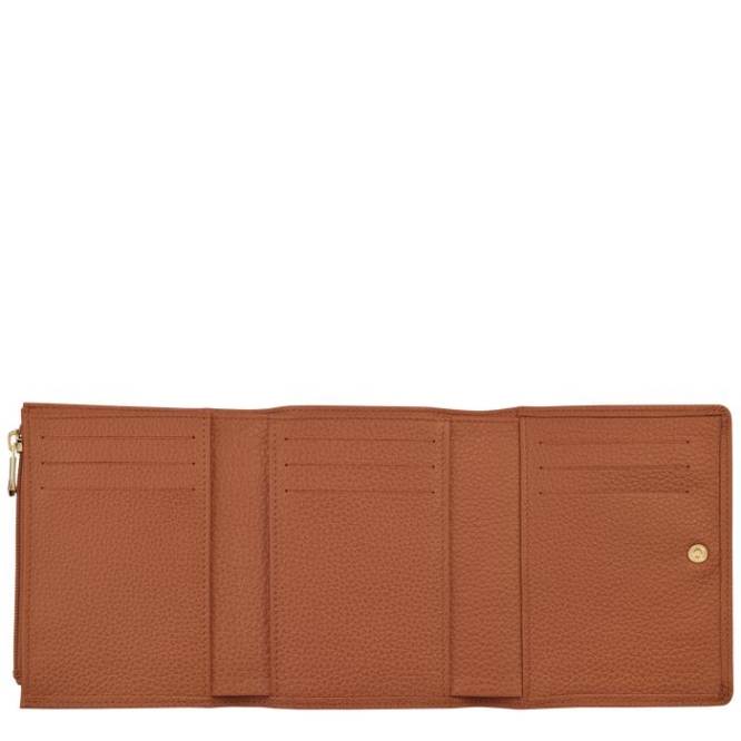 Brown Longchamp Le Foulonné Men's Wallets | US-7809BXV