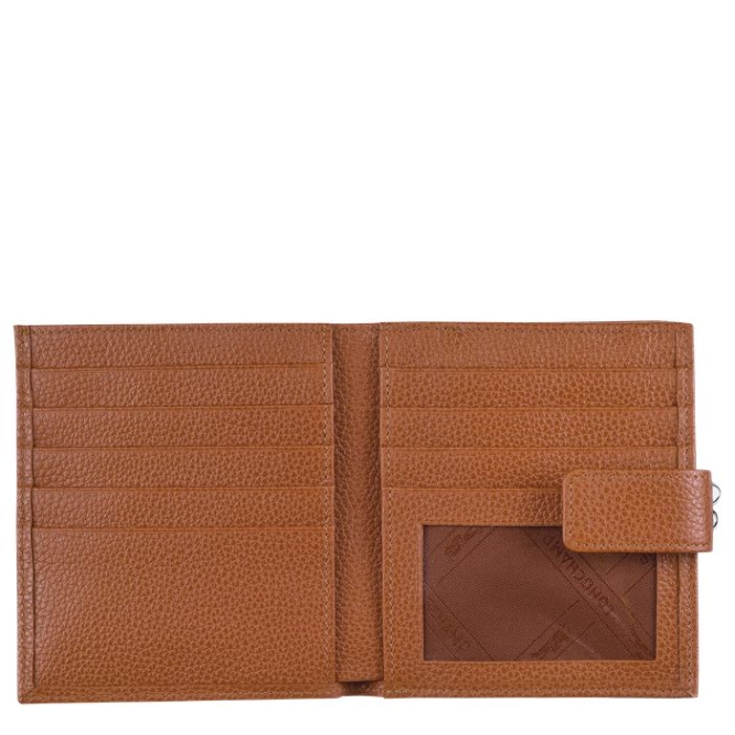 Brown Longchamp Le Foulonné Women's Wallets | US-1530BNK