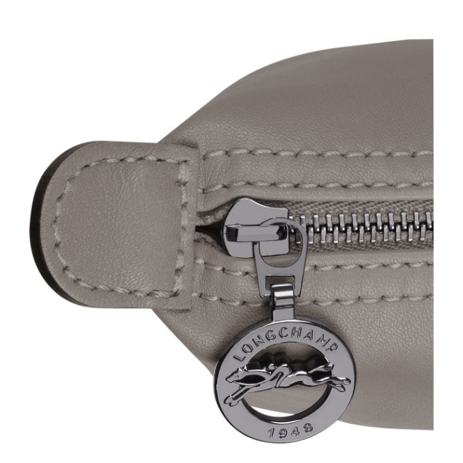 Grey Longchamp Le Pliage Cuir Women's Pouches & Cases | US-9608XPB