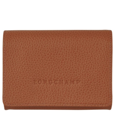 Brown Longchamp Le Foulonné Men's Cardholders & Coin Purses | US-5216OEG