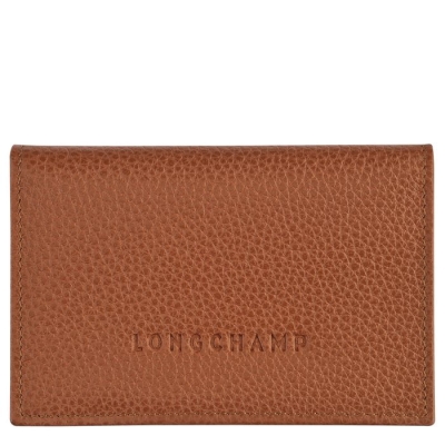 Brown Longchamp Le Foulonné Men's Cardholders & Coin Purses | US-5430HOI